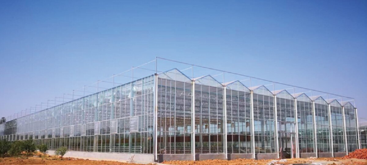 信橋鋼構：打卡蒙陰農(nóng)業(yè)溫室大棚、青州黑牛養(yǎng)殖基地！(圖2)